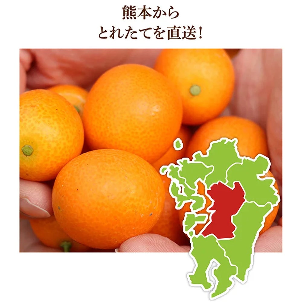 完熟きんかん蜂玉L【他の商品との同時購入不可・国内配送のみ】