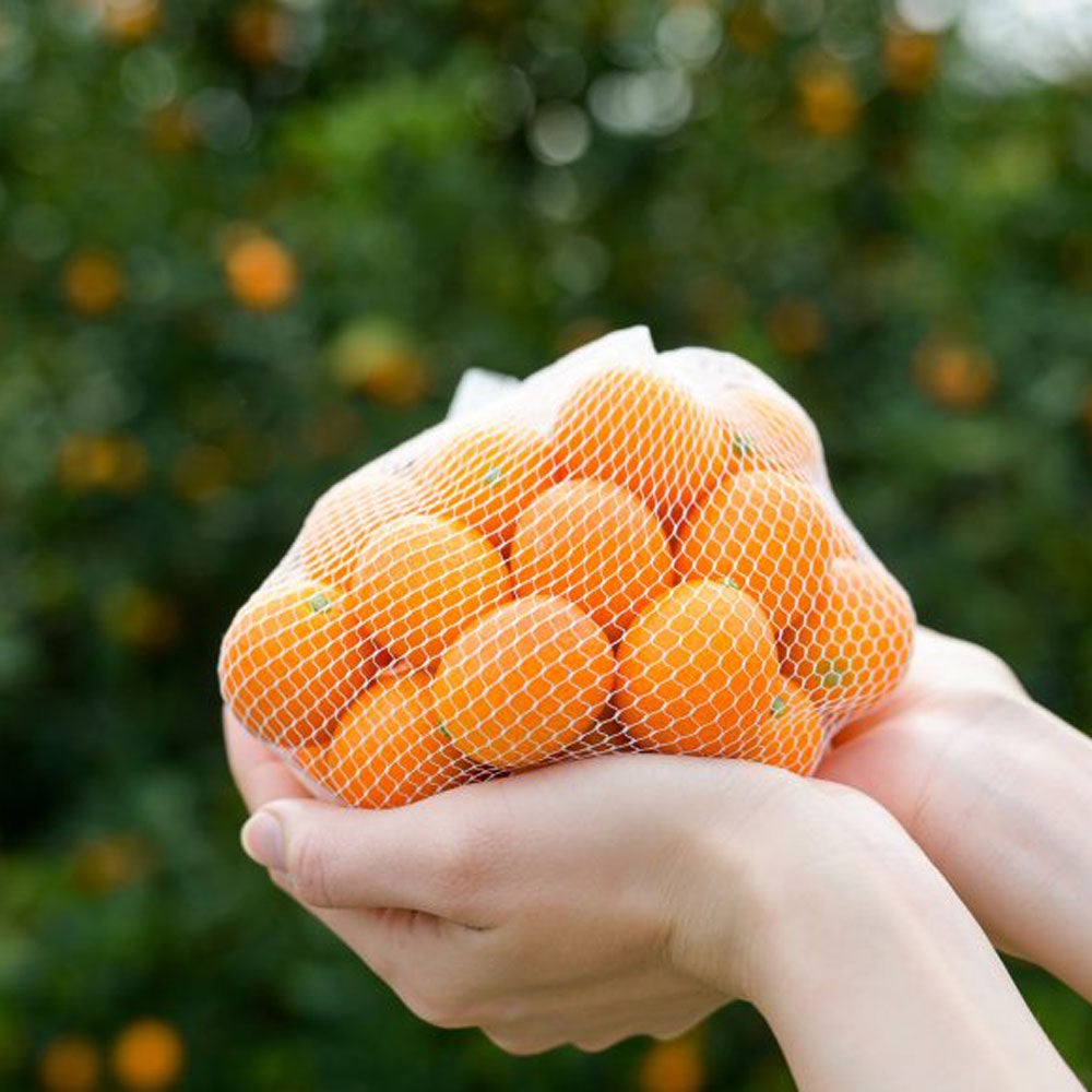 Ripe Kumquats HOUGYOKU 2L [Cannot be purchased with other products, domestic shipping only]