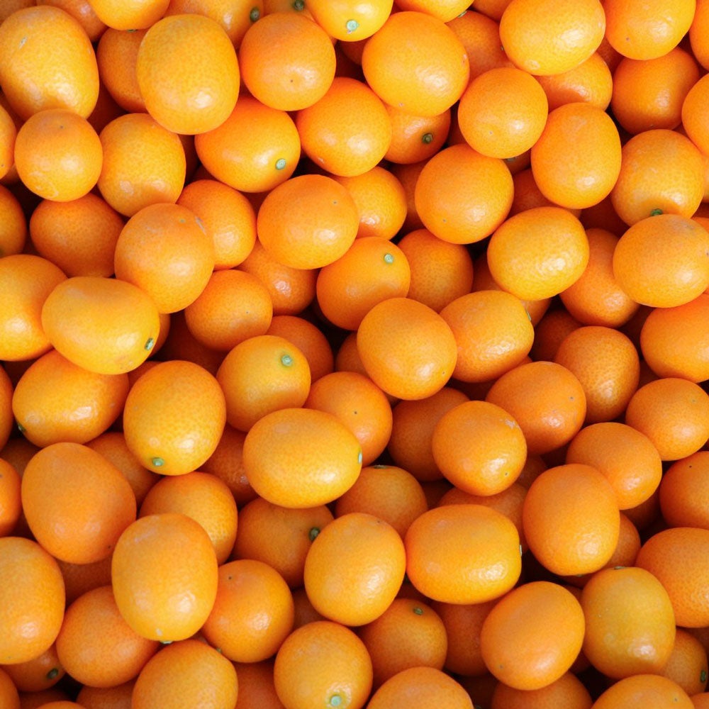 Ripe Kumquats HOUGYOKU 2L [Cannot be purchased with other products, domestic shipping only]
