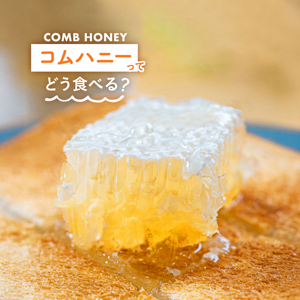Honeycomb - Made in Japan (10cm x 10cm x 3.5cm) (300g)