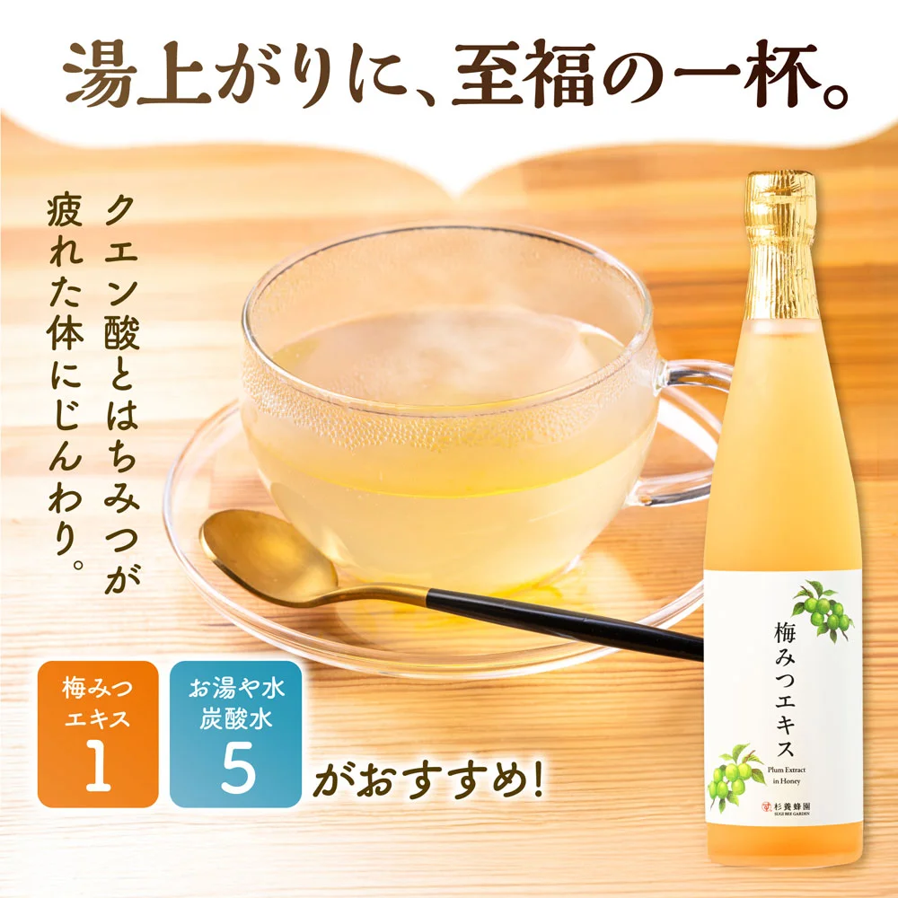 Plum Extract in Honey (500 ml)