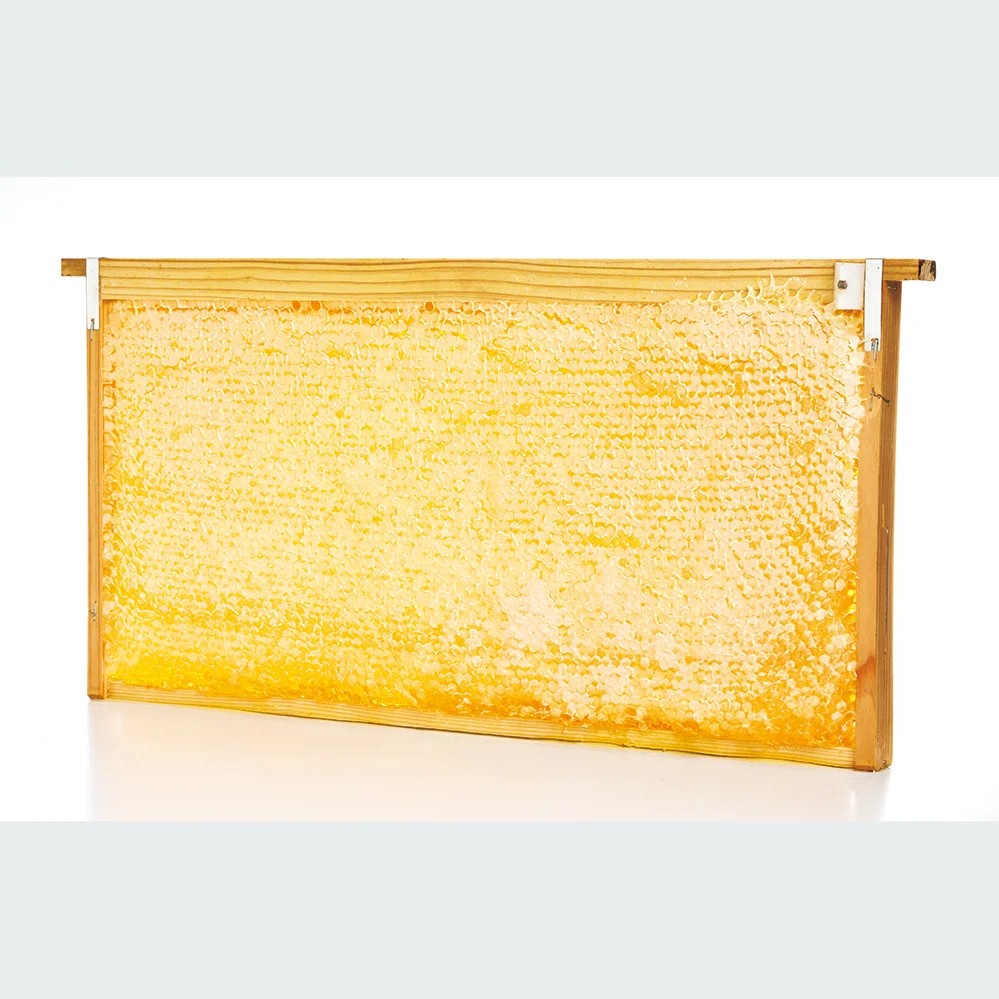 Honeycomb - Made in Japan (40cm x 20cm x 3cm) (2500g)