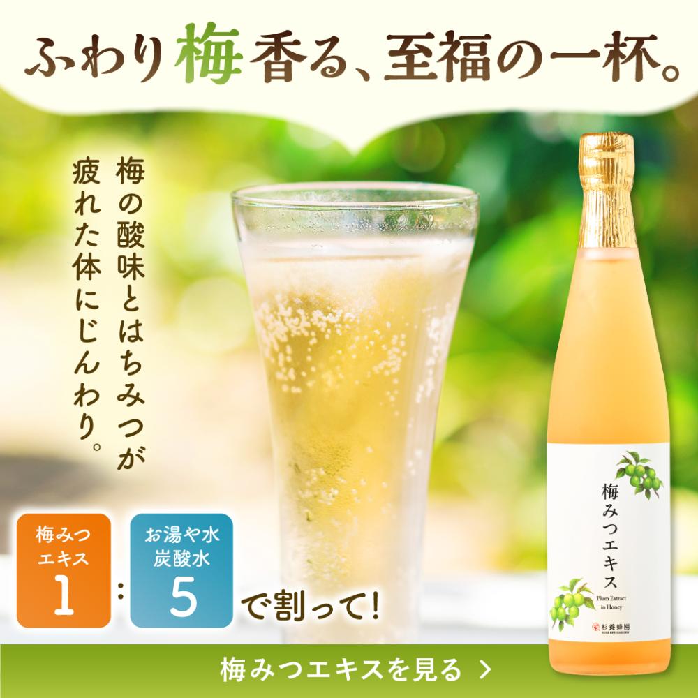 Plum Extract in Honey (500 ml)