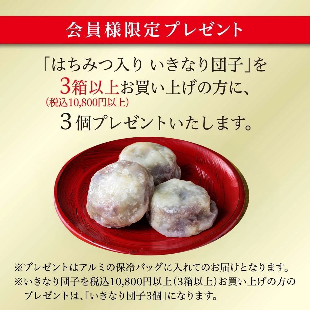 Ikinari Dango with Honey (12 pieces)