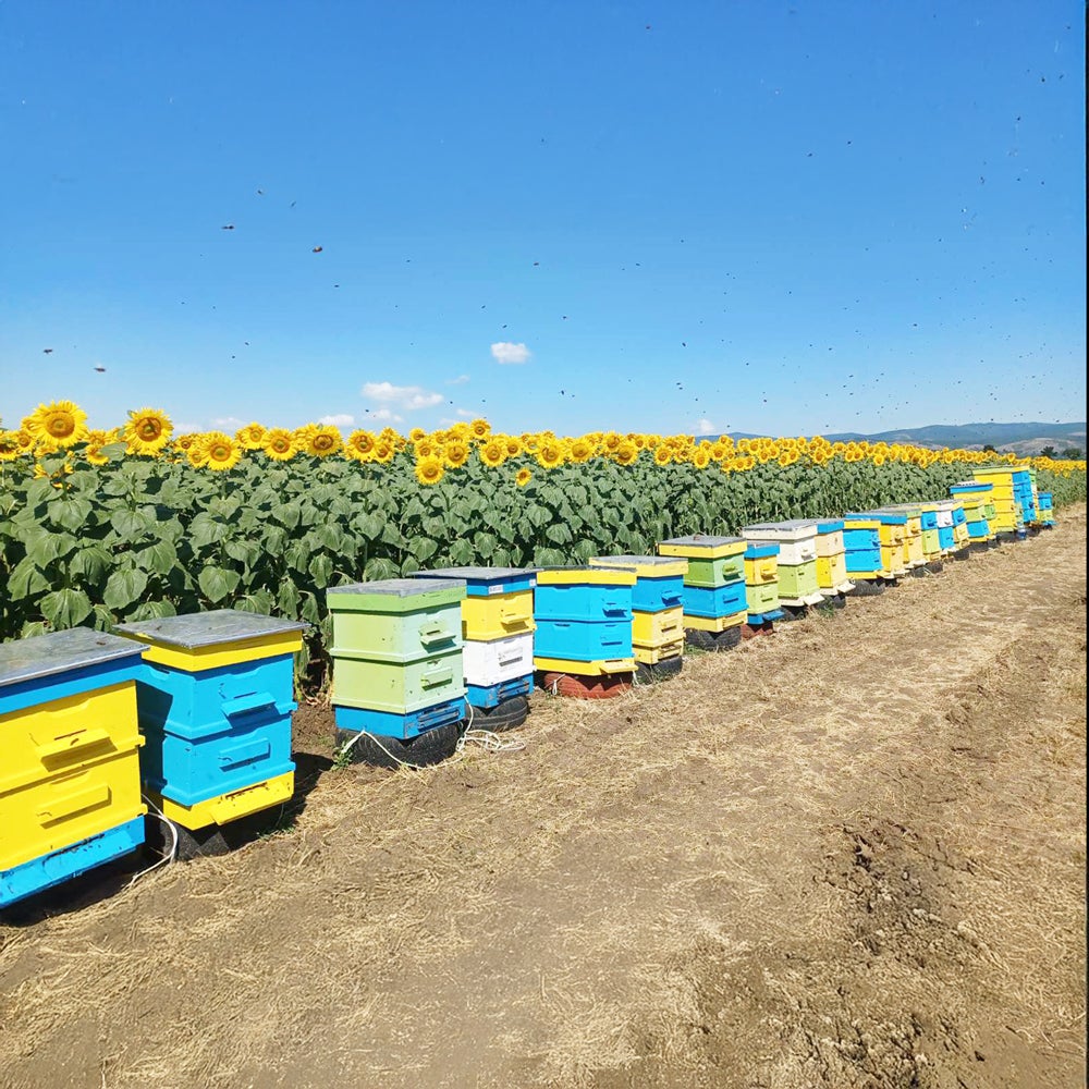 Sunflower Honey - Made in Bulgaria (500g/jar) 2-jar set