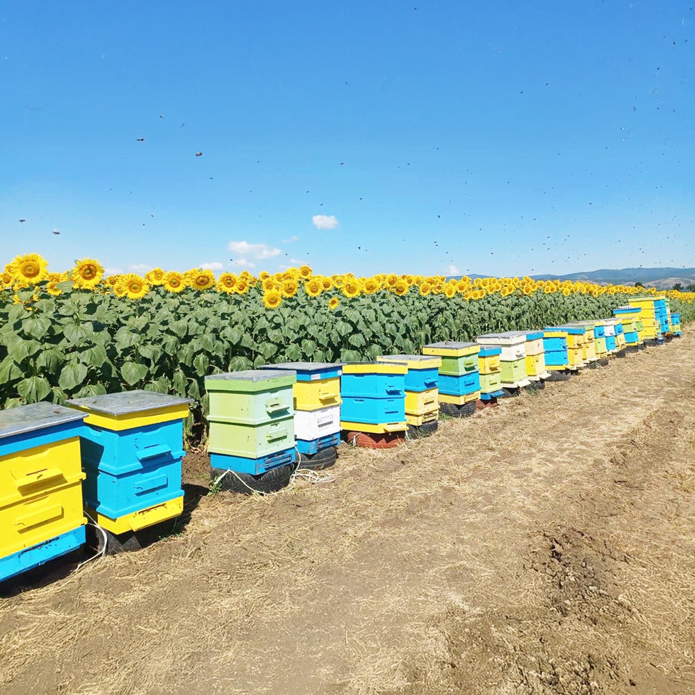 Sunflower Honey - Made in Bulgaria (200g/jar)