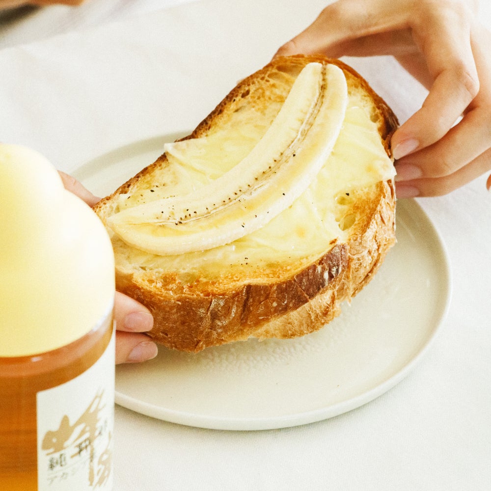 Made in Japan Acacia Honey (500g / Plastic Container)