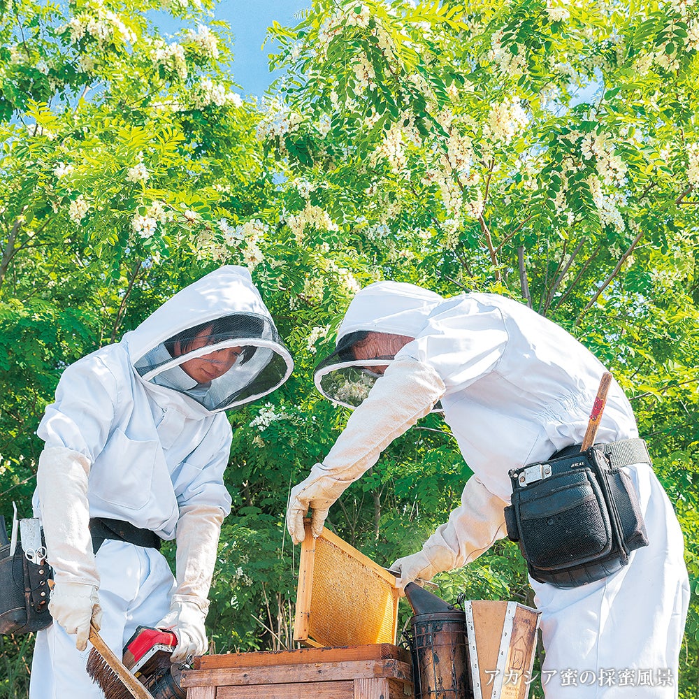 日本产洋槐蜂蜜（500g/瓶）[*每人最多可单独使用或组合使用3颗洋槐蜂蜜]