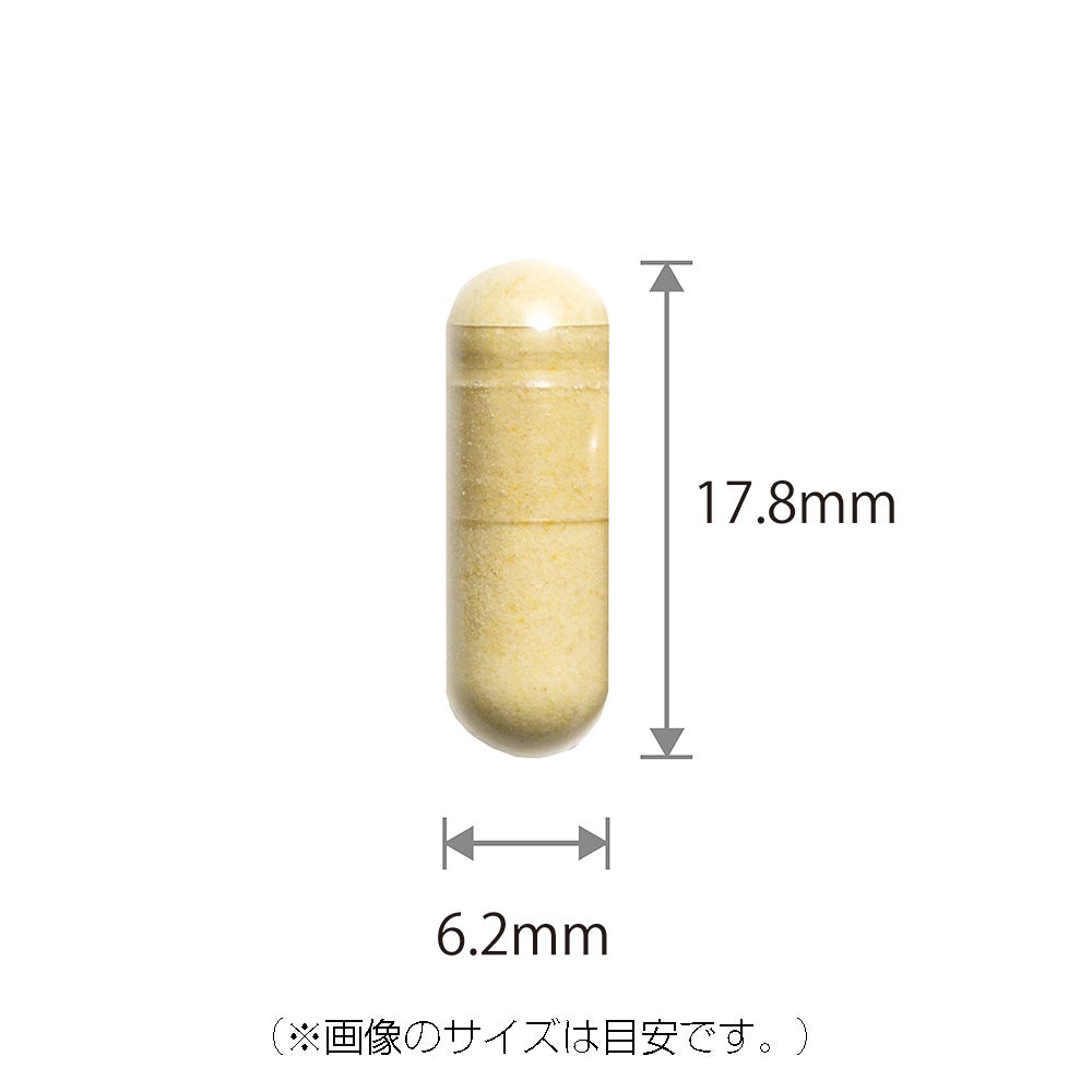 蒜精蜂王漿 內含薑黃素瓶裝（93 粒）和小袋（93 粒/31 包）套裝 2 個月供應量