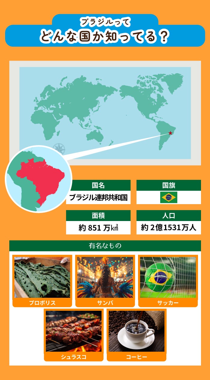 ブラジルとは